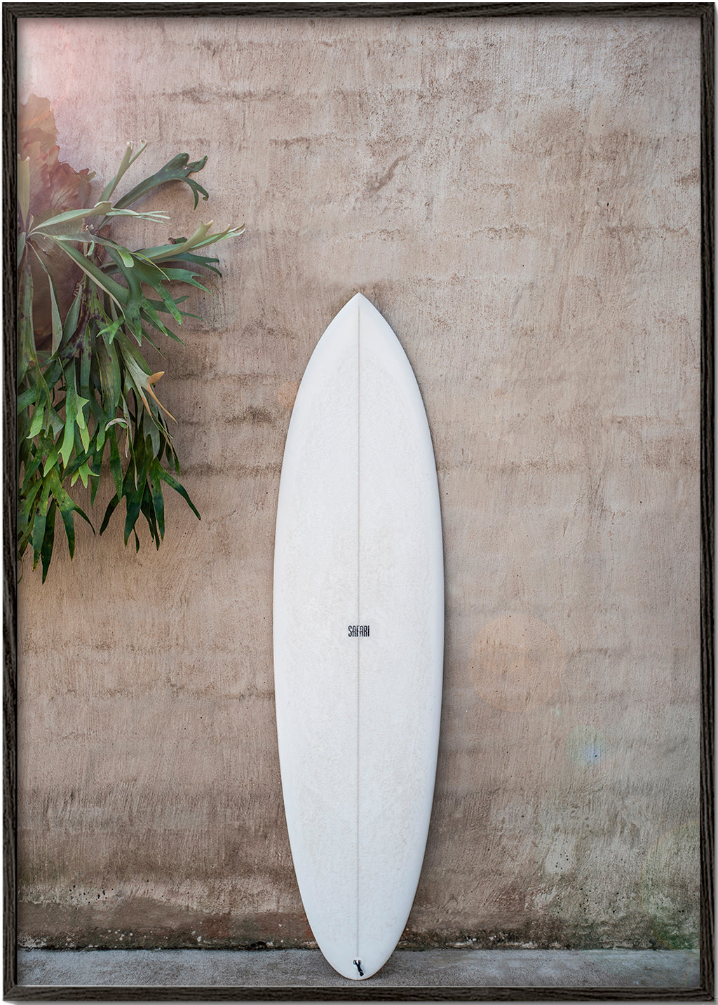 Safari Twinfin - Shot by Clint