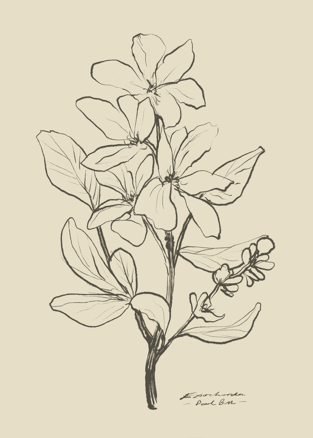 Floral 1 - Unframed art print