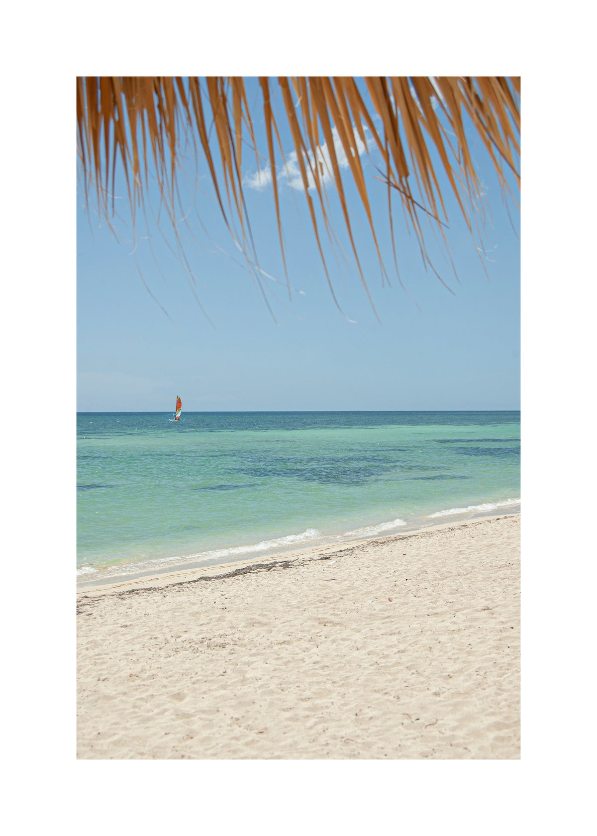 Caribbean Shore - Unframed art print