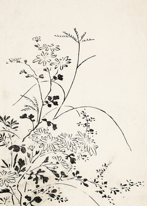 Lámina botánica en tinta japonesa minimalista