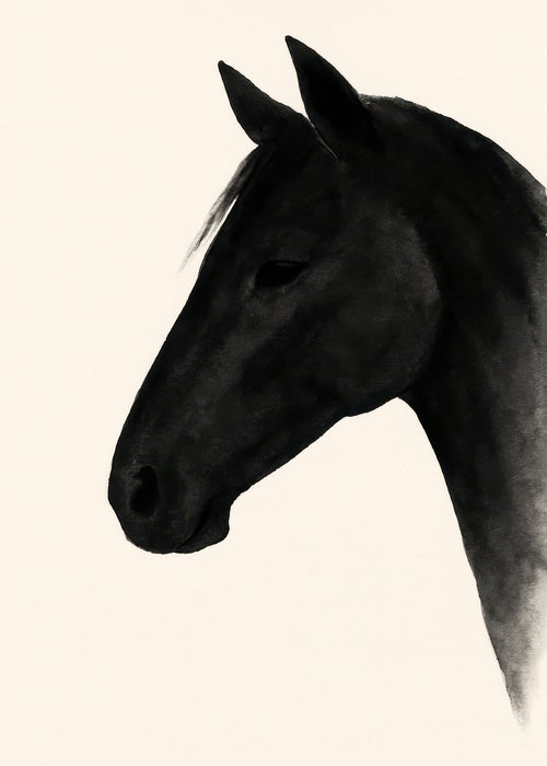 Dark Stallion - Unframed art print