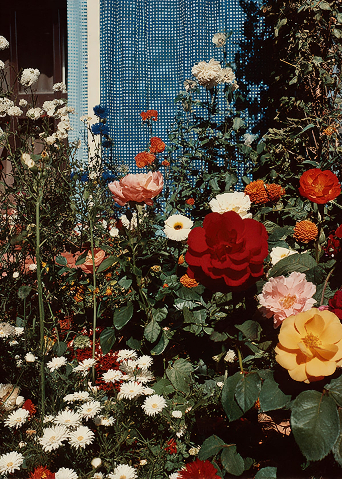Rose Garden - Unframed art print