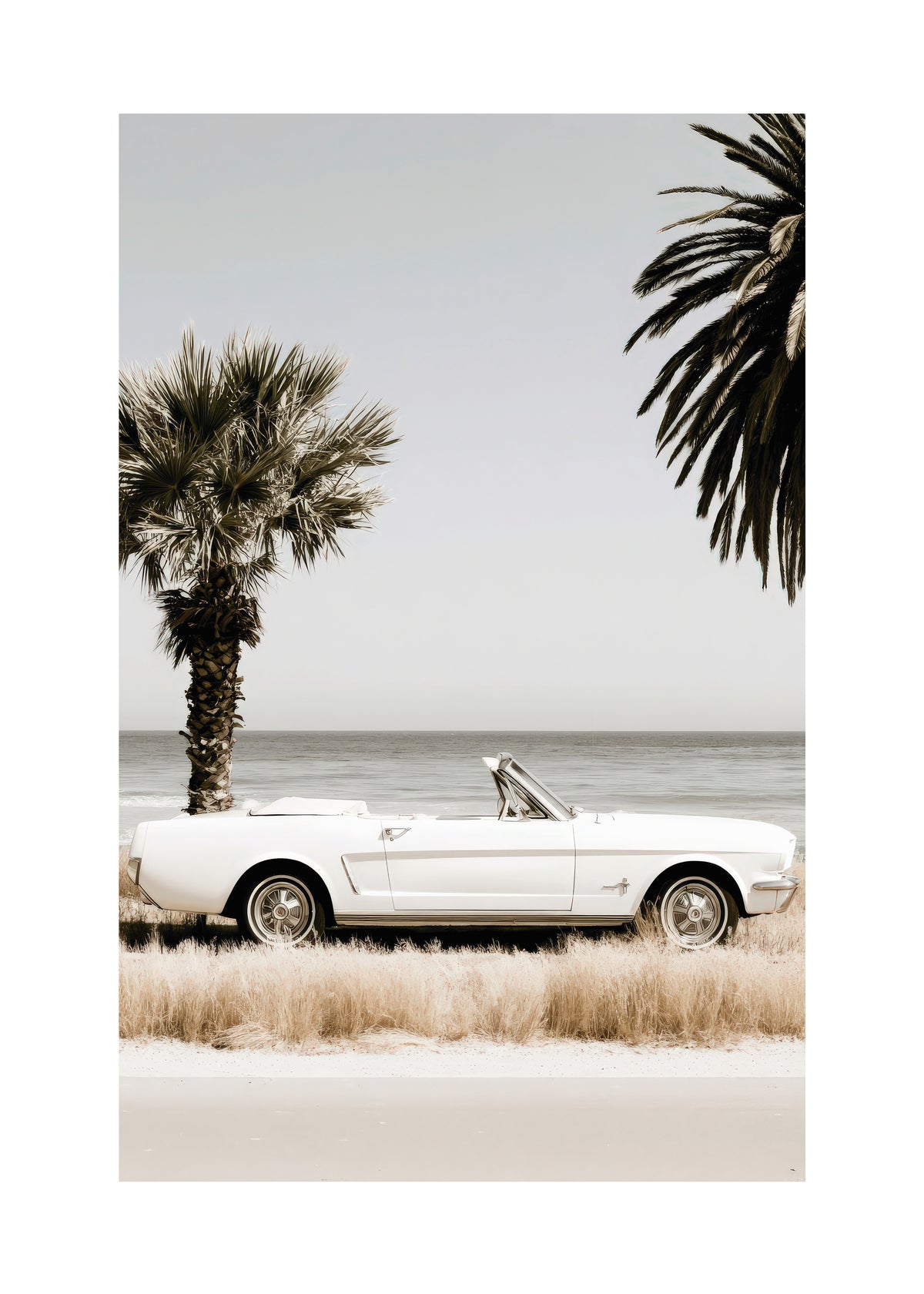Palm Motel - Unframed art print