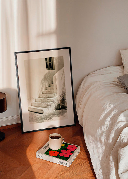 Photograph of white steps with plant