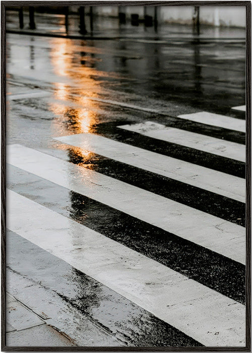 Photograph: wet crosswalk in the city